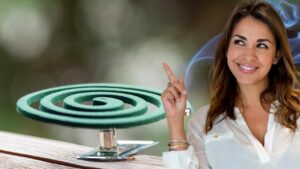 Ti servono solo due oggetti che è già in casa per costruire un porta zampirone