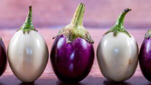 Sapevi che le melanzane in inglese si chiamano “piante delle uova”? Ecco perché