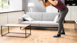 Questi sono gli insetti che puoi trovare nella tua cucina: come capire se ci sono e cosa fare subito per allontanarli