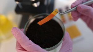Come capire qual è il PH del terreno?