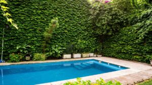 Quali piante usare per arredare la piscina? Scoprile qui