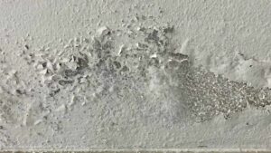 Cos’è e come liberarsi dell’umidità di risalita?