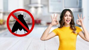 Il ronzio delle mosche ti perseguita dentro casa? Usa questi repellenti naturali e preparati a salutarle