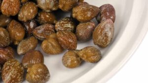 Li usiamo solo per insaporire, ma in realtà sono un super alimento. Avete capito di cosa si tratta?