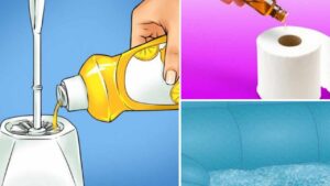 6 modi per eliminare i cattivi odori in casa con trucchetti straordinari