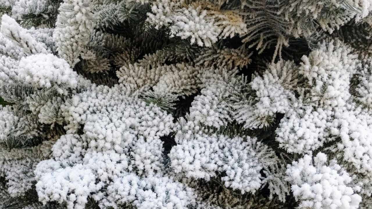 neve finta fai da te