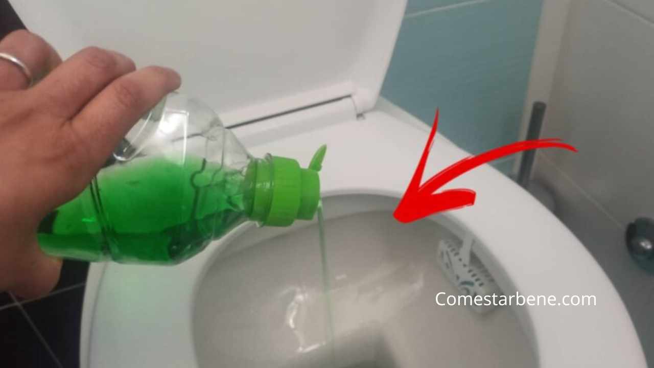 wc e sapone per piatti 