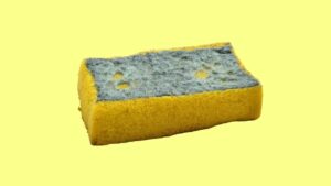 3 idee utilissime per riutilizzare le spugne per piatti consumate