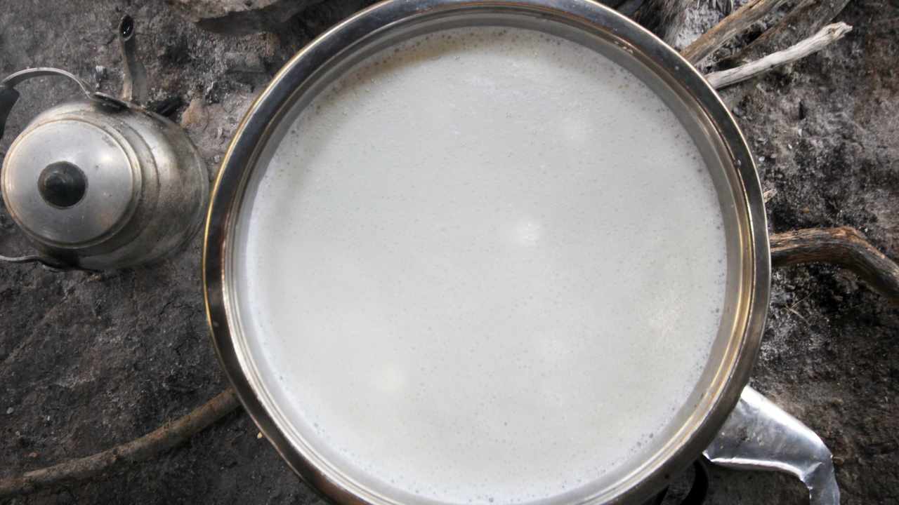 Bollire aglio nel latte