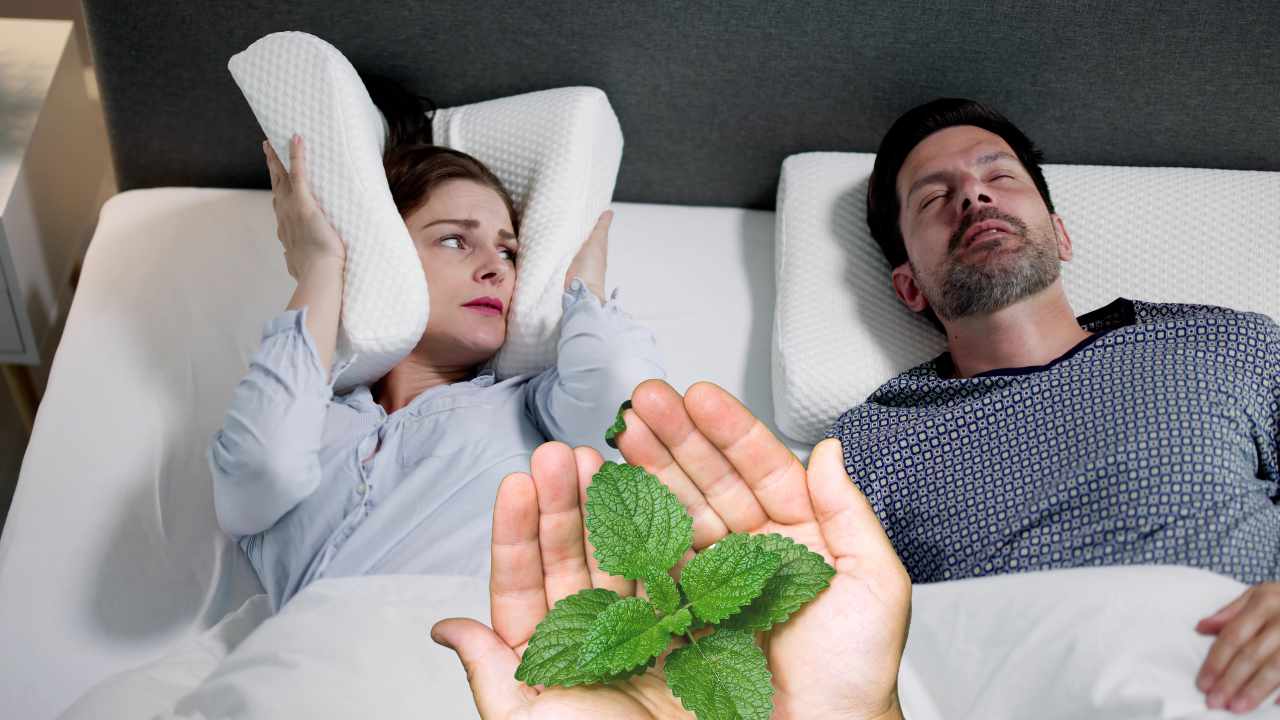 foglie benessere sonno