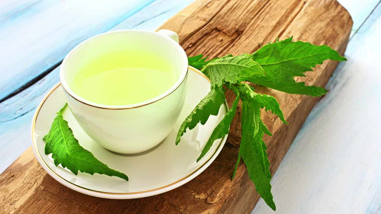 benefici pianta Epazote