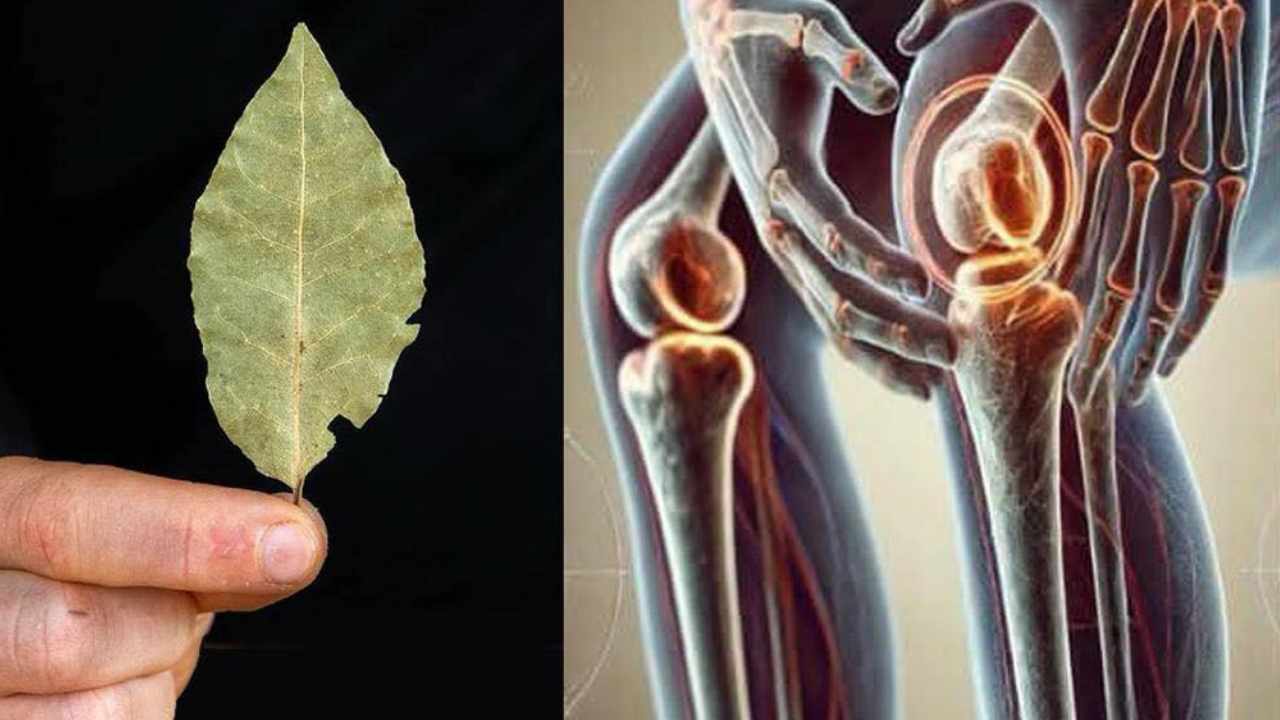 benefici alloro nei calzini