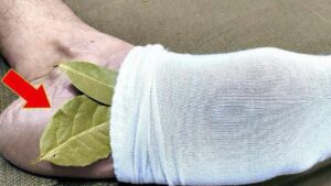 Metti 1 foglia di alloro ai piedi e non dovrai più spendere soldi in farmacia…