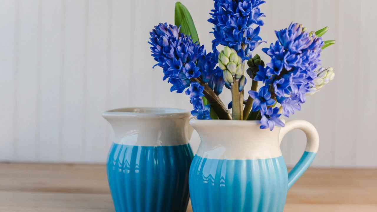 idee originali bulbi primavera