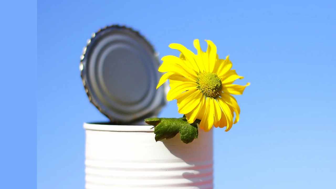 idee originali bulbi primavera