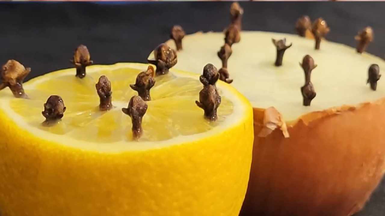 limone e cipolla con chiodi di garofano