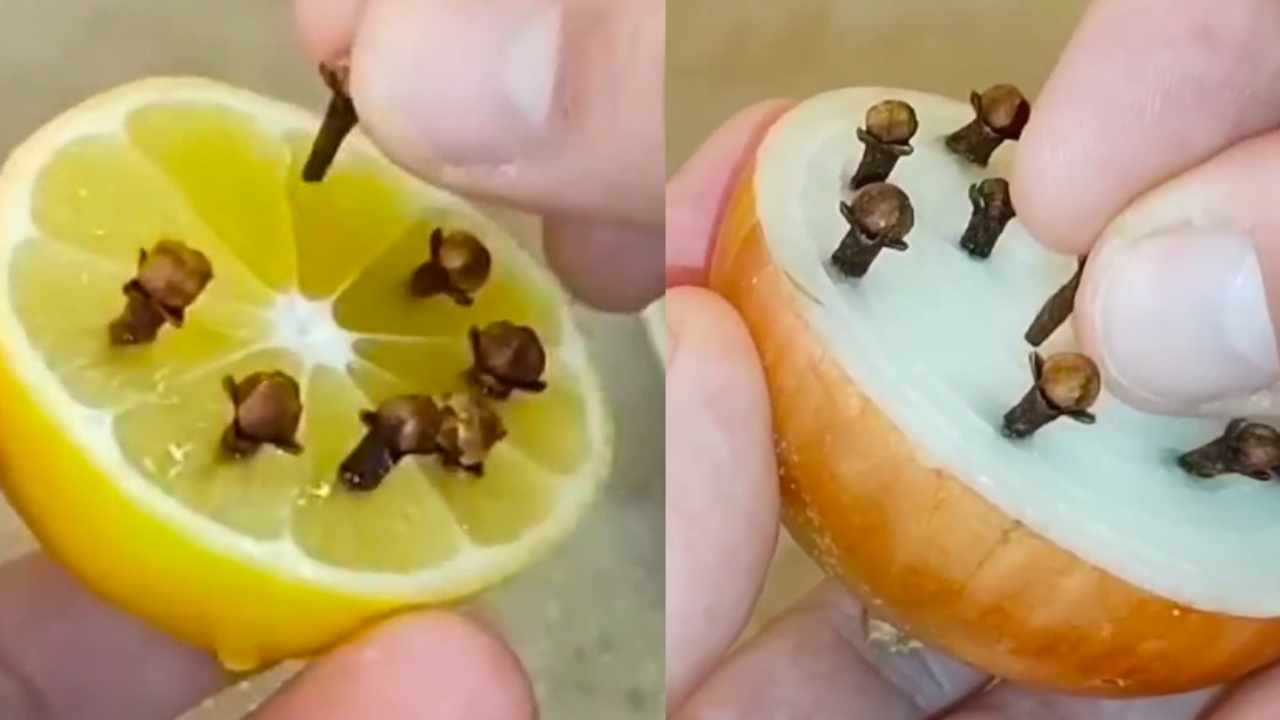 limone e cipolla con chiodi di garofano