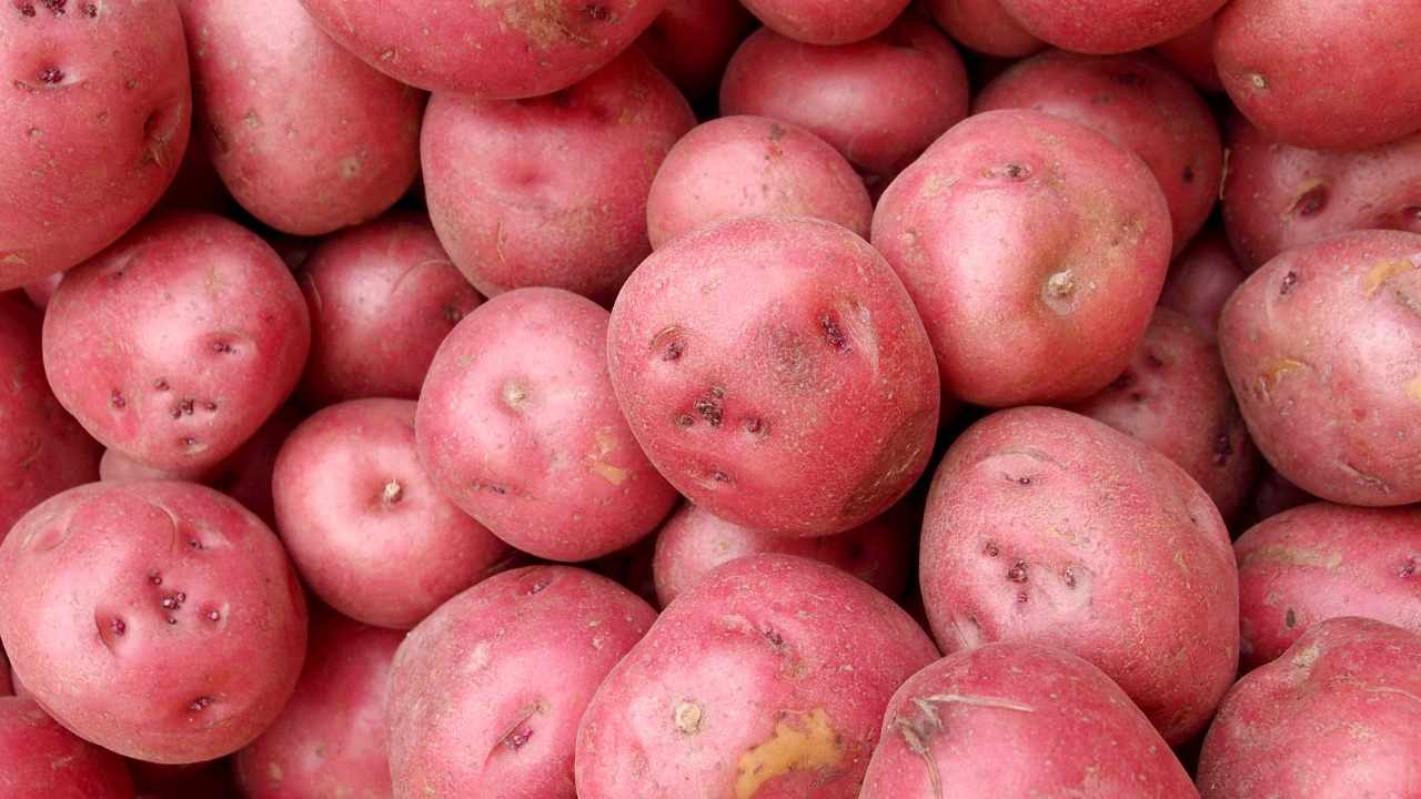 benefici patate rosse