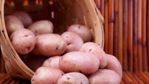 Conosci le patate rosse? I benefici, gli usi e le differenze con quelle bianche