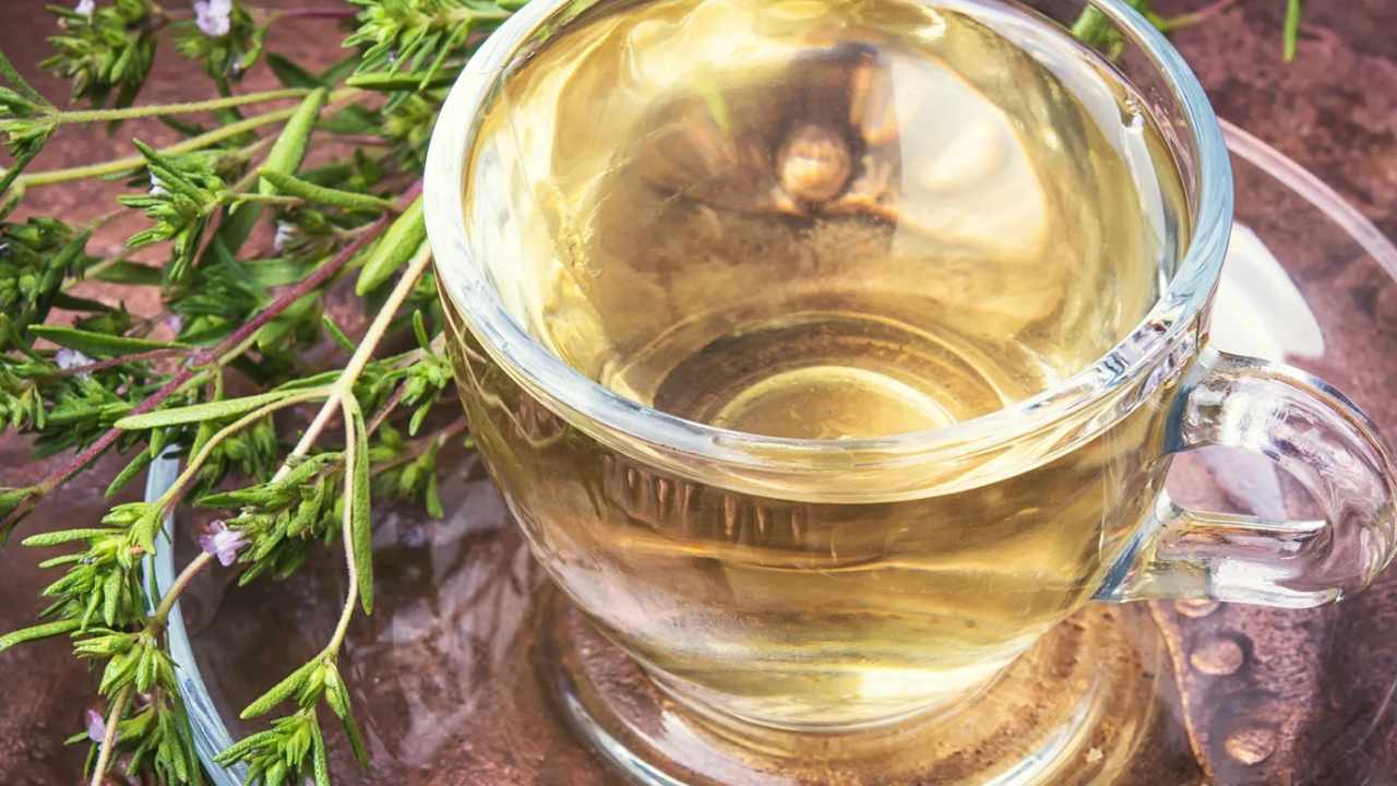 benefici tè origano