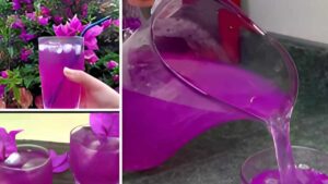 Problemi di salute che puoi affrontare con questi fiori