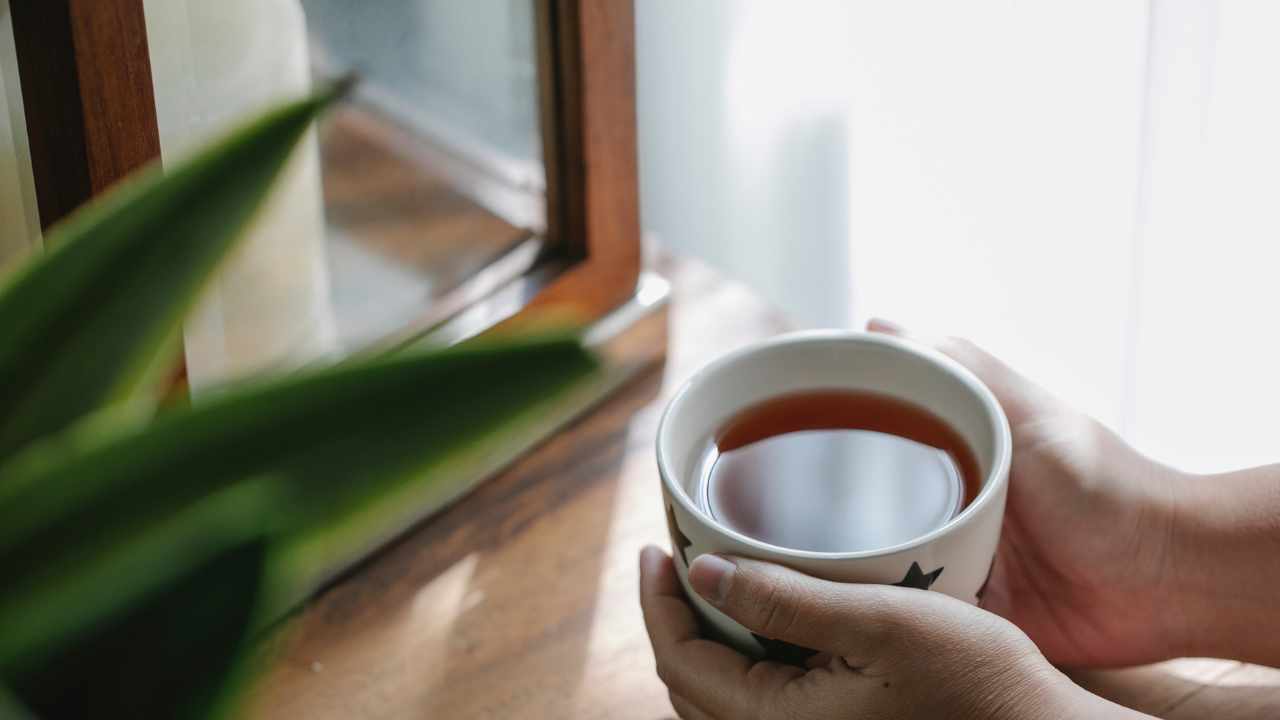 benefici tisana cannella e alloro