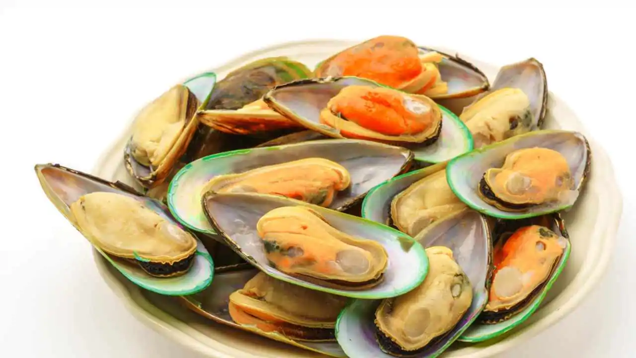 cozze diverso colore
