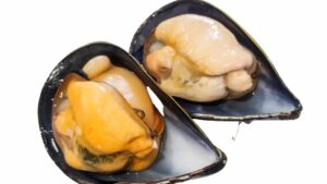 Perché alcune cozze sono bianche e altre arancioni? C’è un motivo, ma sicuramente non lo conosci!