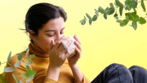 Eucalipto: 12 problemi di salute che puoi migliorare consumandolo