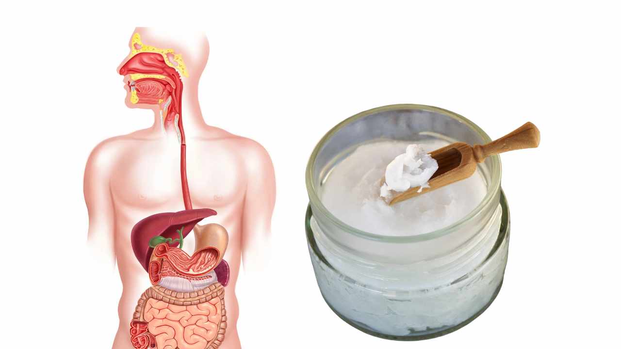 olio di cocco benefici 