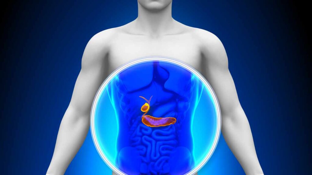 salute pancreas