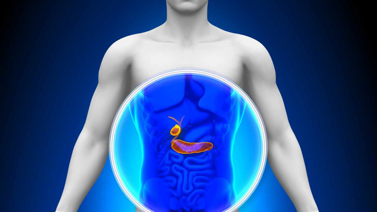 salute pancreas