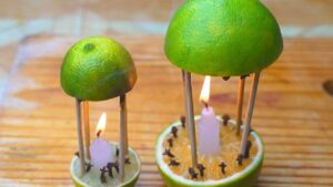 Un rimedio profumato per la casa che offre una protezione duratura dalle zanzare