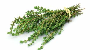 L’erba più potente, combatte le infezioni, virus influenzali, dolori articolari, artrite, mal di testa e molto altro ancora