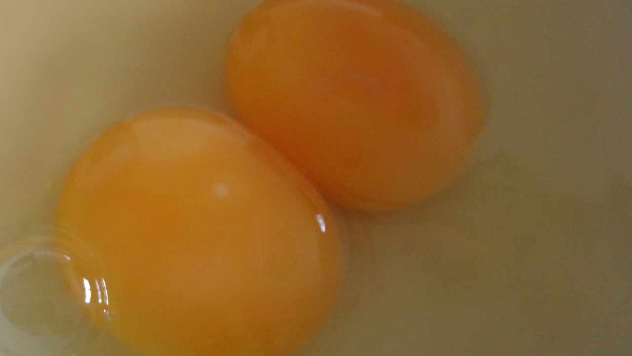 doppio tuorlo uovo