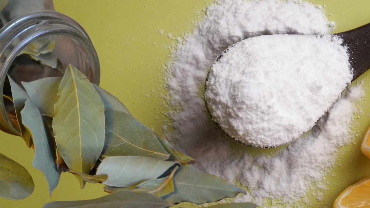 alloro e bicarbonato cappa