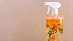 Come preparare il tuo spray disinfettante per pulire la tua casa e lasciarla con un profumo molto molto piacevole