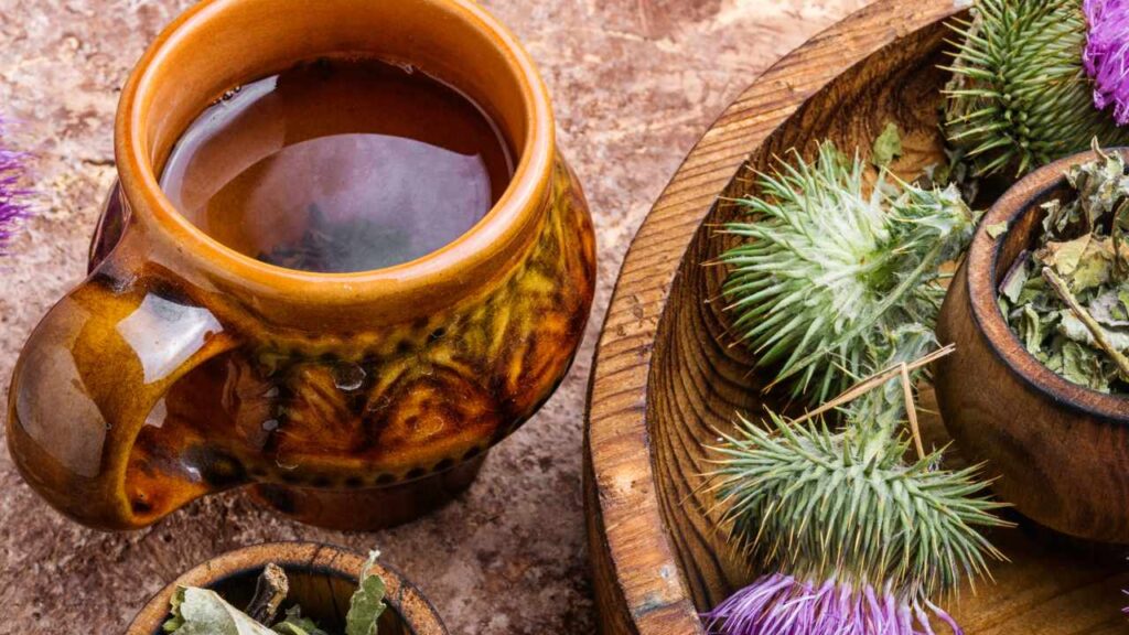 benefici Cardo Mariano