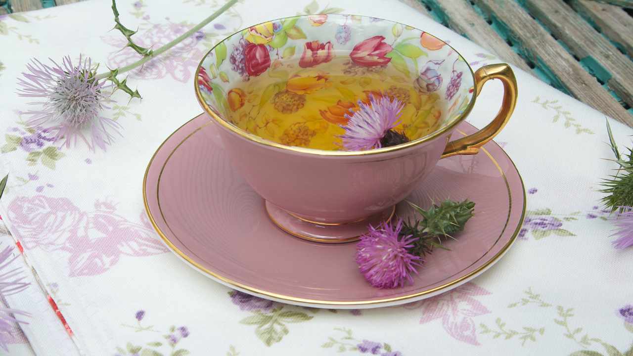 benefici Cardo Mariano