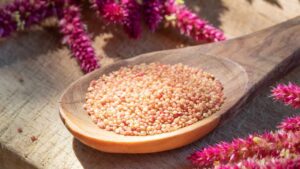 IL SEME RICCO DI CALCIO E FERRO CHE PREVIENE LE MALATTIE E MANTIENE LE OSSA FORTI