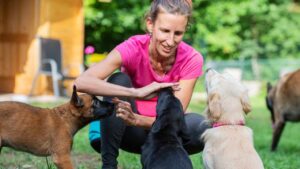 Accarezzi sempre i cani? Ecco cosa significa secondo la psicologia