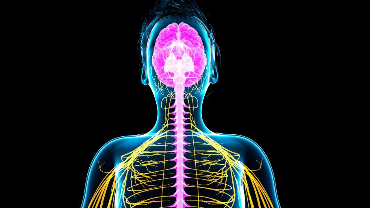 stimolare il nervo vago