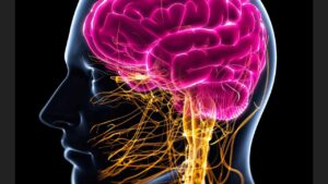 Scopri come stimolare il nervo vago per migliorare il tuo benessere emotivo e fisico, gestire stress e ansia con semplici tecniche quotidiane