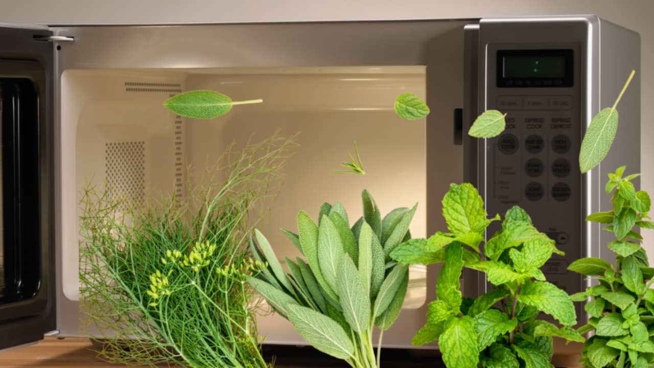 erbe aromatiche e microonde
