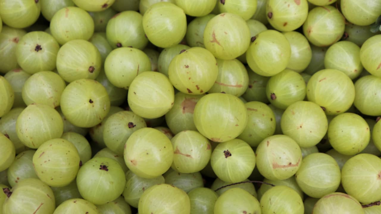 frutto amla