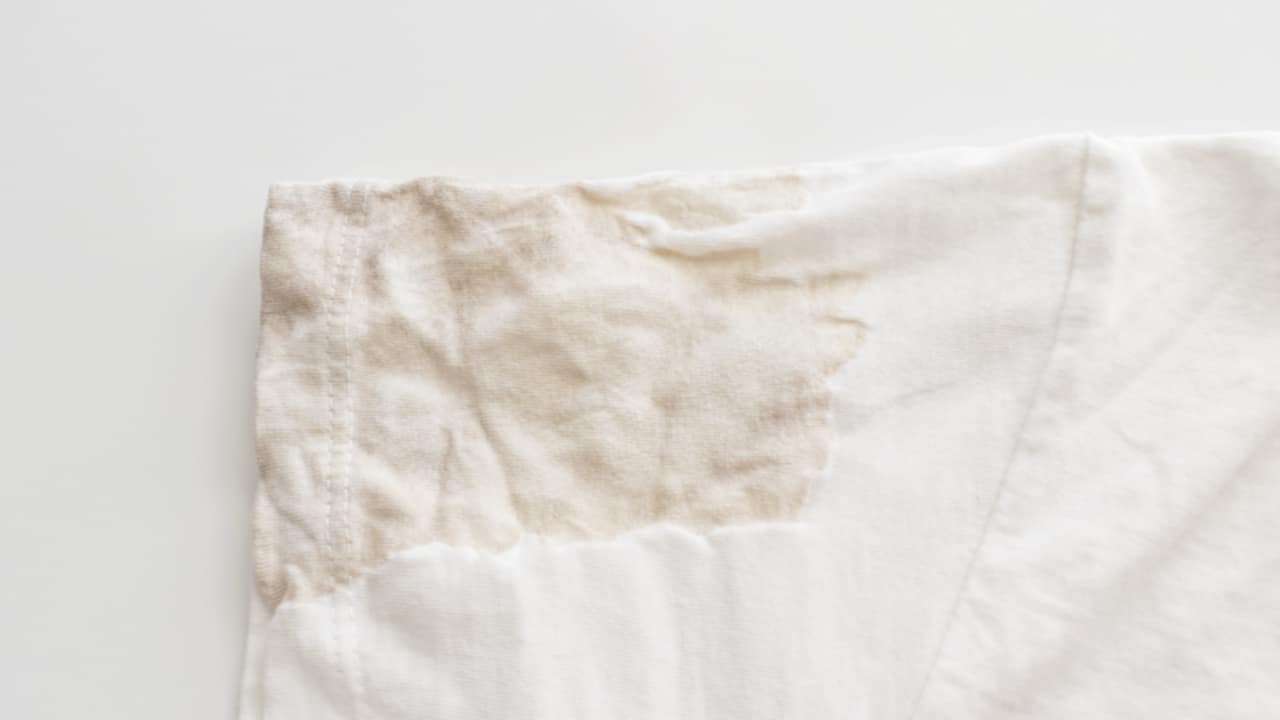 vestiti macchie di grasso