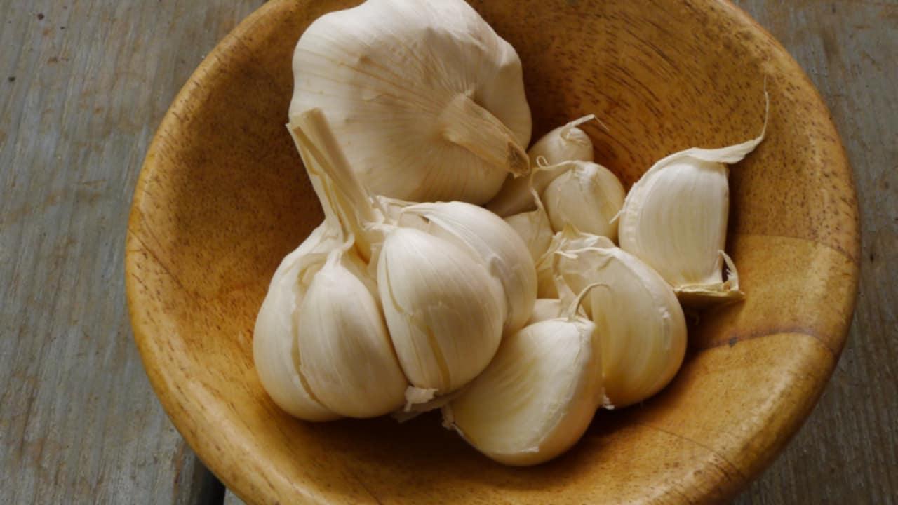 tè piante medicinali