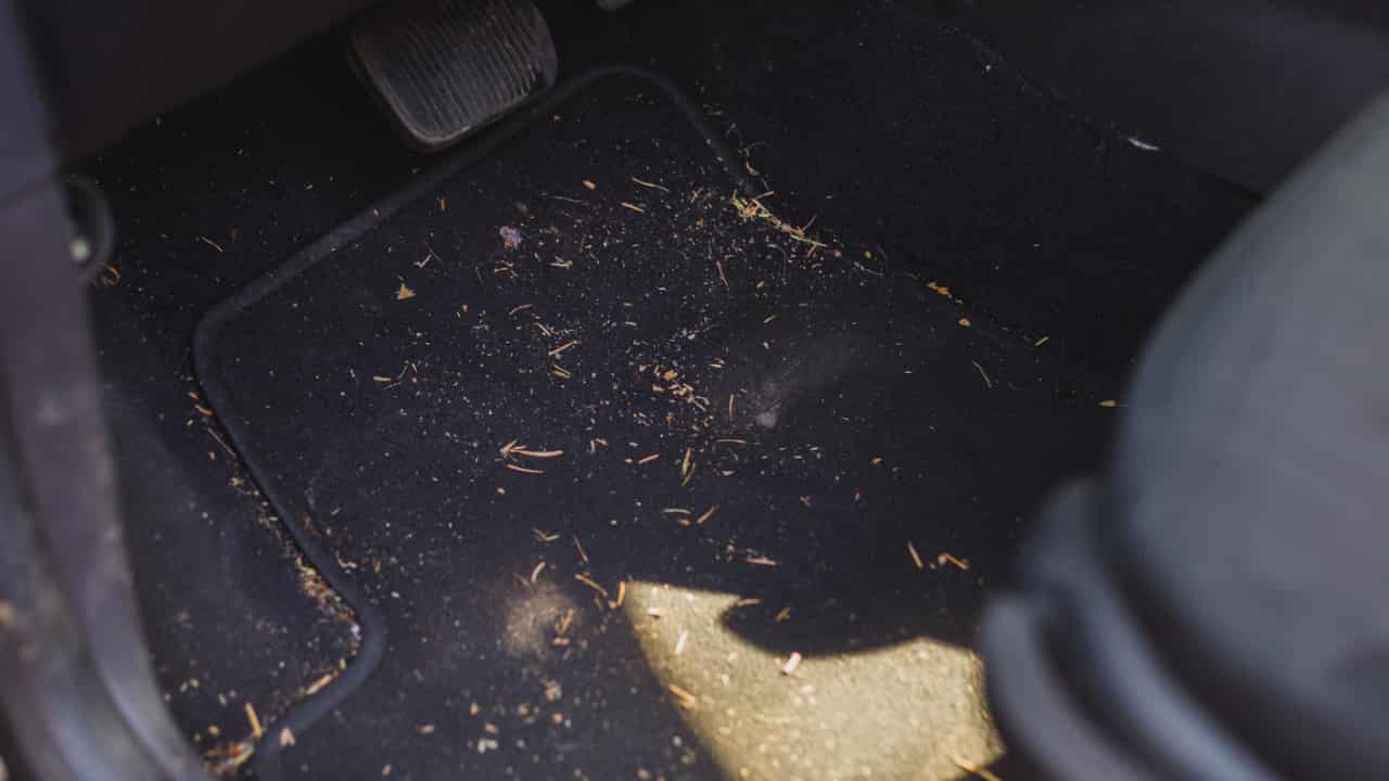 psicologia auto sporca