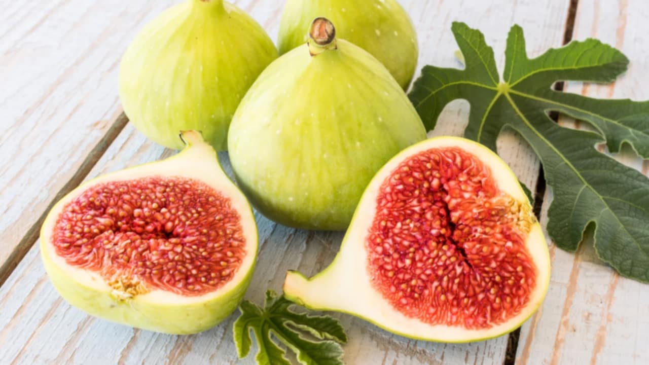fico frutto