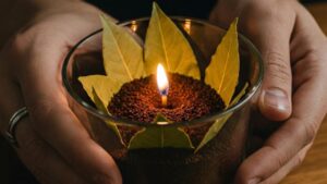 Perché tutti stanno facendo queste candele con alloro e caffè per le loro case? Il segreto sta in ciò che provocano quando si accendono